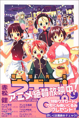 魔法先生ネギま! 9