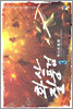 화산질풍검 3