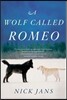 A Wolf Called Romeo