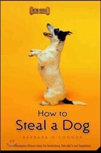 How to Steal a Dog