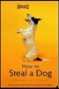 How to Steal a Dog