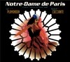 Notre Dame de Paris: Original Cast Recording (뮤지컬 노트르담 드 파리 오리지널 캐스트 레코딩)