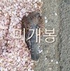 [미개봉] 천진우 - 귀천 (CD)