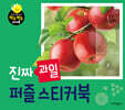 진짜 과일 퍼즐 스티커북