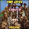 Roy Ayers (로이 아이레스) - Stoned Soul Picnic [LP]