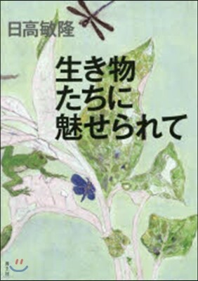 生き物たちに魅せられて