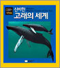 신비한 고래의 세계