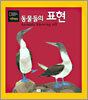 동물들의 표현