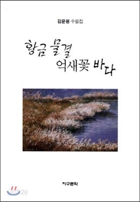 황금 물결 억새꽃 바다