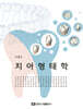 치아형태학