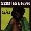 Various Artists - Soul Sisters: Sights & Sounds Of 1970's African American Underground (CD)
