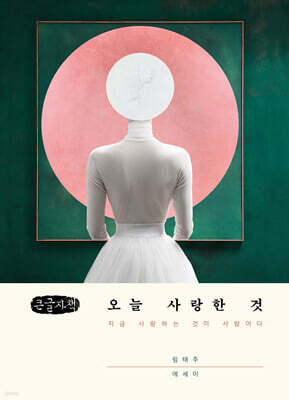 오늘 사랑한 것 (큰글자책)