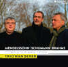 Trio Wanderer 멘델스존 / 슈만 / 브람스: 피아노 트리오 전곡 (Mendelssohn / Schumann / Brahms: Complete Piano Trio)