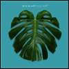 Big Scary - Not Art (Gatefold)(LP)