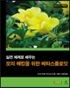 모의 해킹을 위한 메타스플로잇