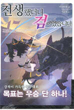 전생했더니 검이었습니다 17권