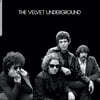 The Velvet Underground (벨벳 언더그라운드) - Now Playing [실버 컬러 LP]