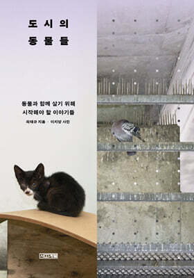 도시의 동물들