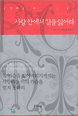 사랑 안에서 길을 잃어라