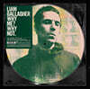 Liam Gallagher (리암 갤러거) - 2집 Why Me? Why Not. [픽쳐디스크 LP]