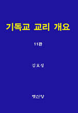 기독교 교리 개요