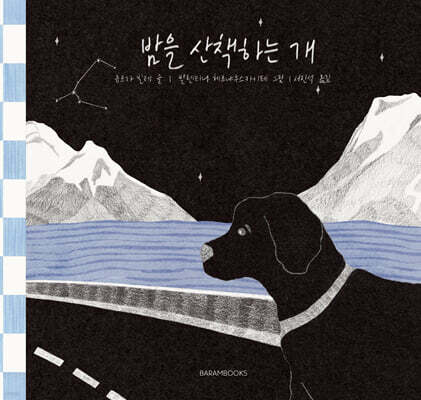 밤을 산책하는 개