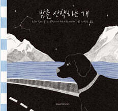 밤을 산책하는 개