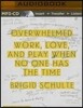 Overwhelmed: Work, Love, and Play When No One Has the Time