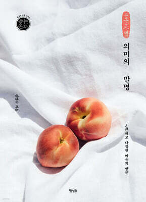 의미의 발명 (큰글자책)