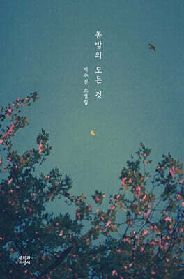 봄밤의 모든 것 (큰글자도서)