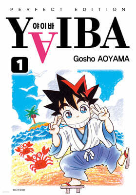 야이바(YAIBA) 완전판 1
