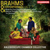 Kaleidoscope Chamber Collective 브람스와 동시대인들 2집 (Brahms & Contemporaries, Vol. 2)