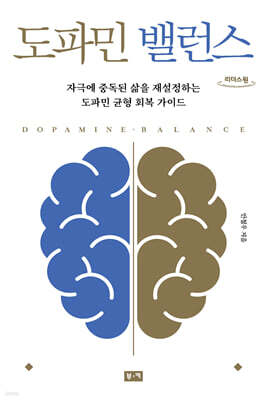 도파민 밸런스 (큰글자도서)