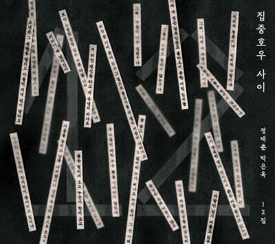 정태춘 박은옥 - 12집 : 집중호우 사이