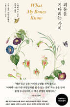 괴물을 기다리는 사이