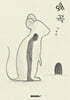 왜곡