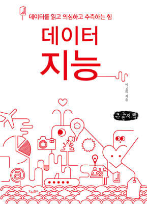 데이터지능 (큰글자책)