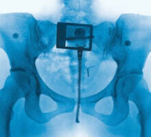 Lorde (로드) - 4집 Virgin [투명 컬러 LP]