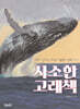 사소한 고래책