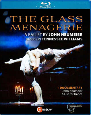 Luciano Di Martino 존 노이마이어: 발레 `유리 동물원` (John Neumeier: The Glass Menagerie - A Ballet By)