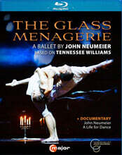Luciano Di Martino 존 노이마이어: 발레 `유리 동물원` (John Neumeier: The Glass Menagerie - A Ballet By)