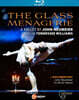 Luciano Di Martino 존 노이마이어: 발레 `유리 동물원` (John Neumeier: The Glass Menagerie - A Ballet By)