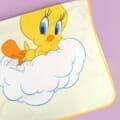 [트위티] 트위티 담요