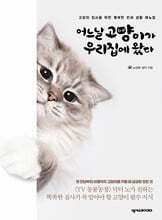 어느날 고양이가 우리집에 왔다