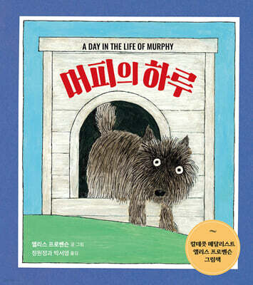 머피의 하루