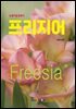 (농입기술길잡이) 프리지어