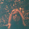 Turnover (턴오버) - Peripheral Vision [라구나 블루 마블 컬러 LP]