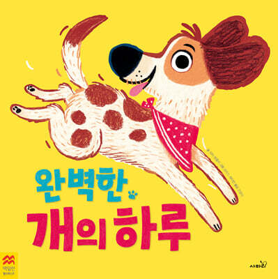 완벽한 개의 하루