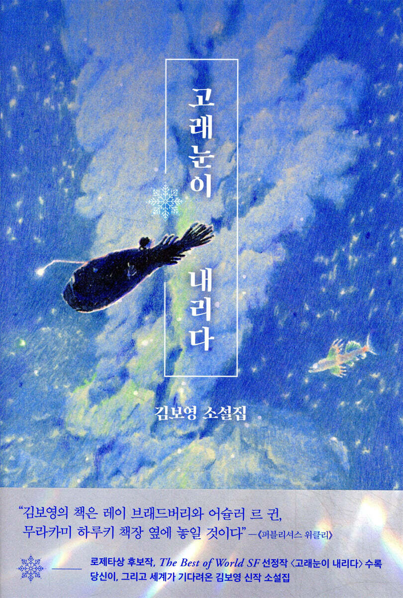 고래눈이 내리다