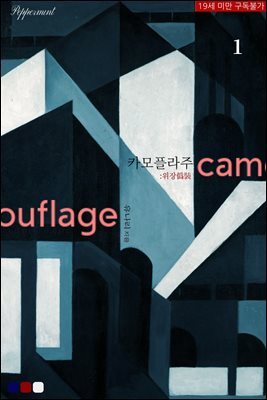 카모플라주 1